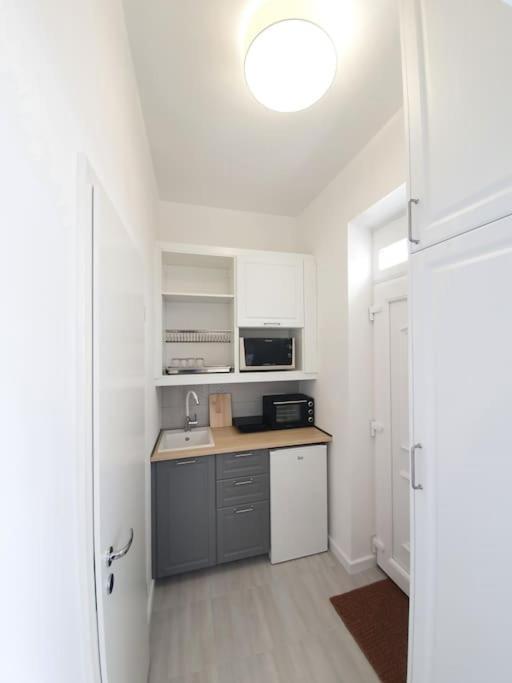 Master Apartment With Air Condition And Separated Rooftop Terrace 부다페스트 외부 사진