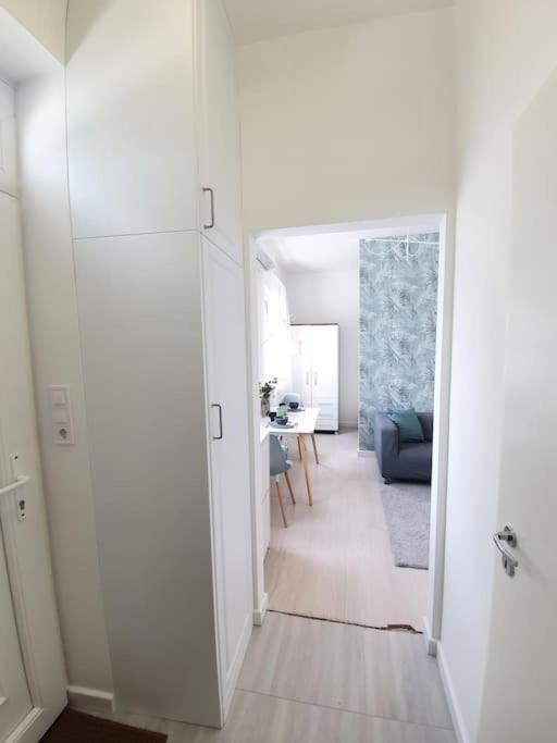 Master Apartment With Air Condition And Separated Rooftop Terrace 부다페스트 외부 사진