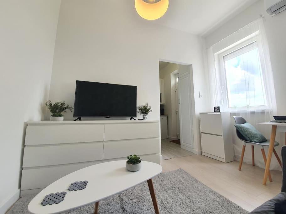 Master Apartment With Air Condition And Separated Rooftop Terrace 부다페스트 외부 사진